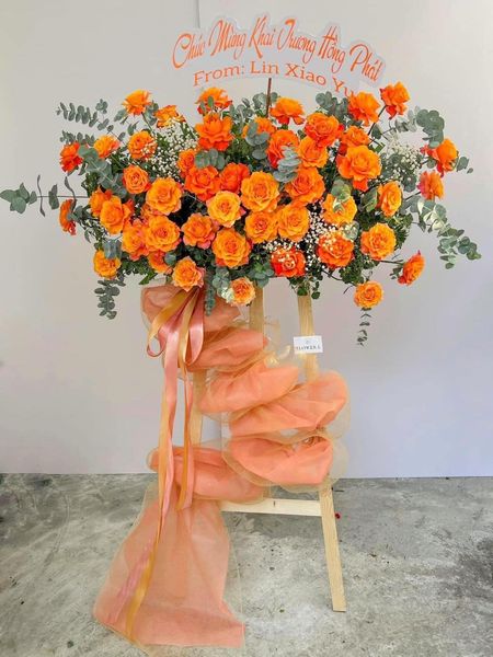 Kệ khai trương tông cam